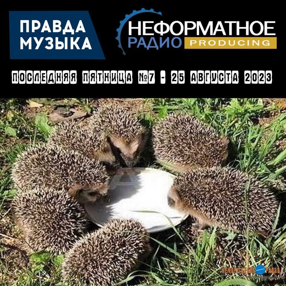Последняя пятница №7 - 25 августа 2023