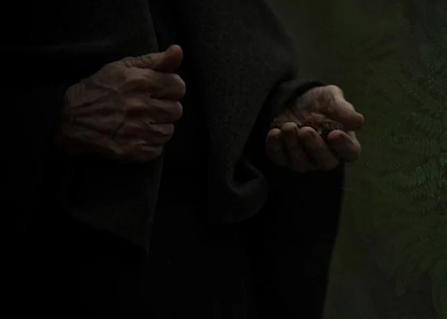 AHTOH SKALD – Кровь. Сумрак. Чертополох (single 2023)