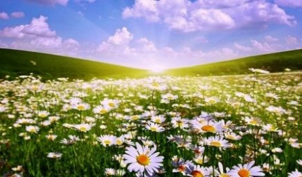 Бежит тропиночка лесная...