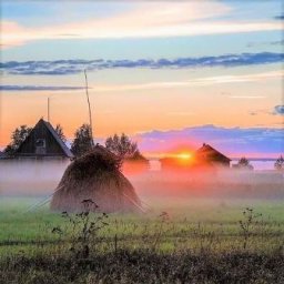 В луга, в луга...