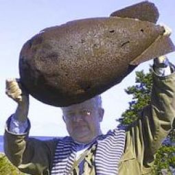 Иов Авситидийский