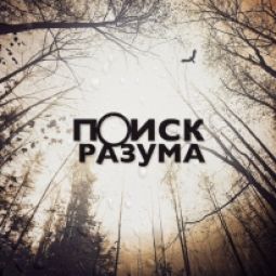 Поиск разума