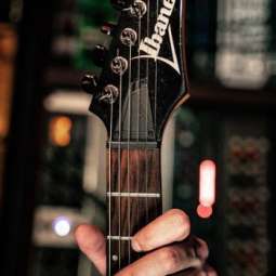 GURU (Денис Шишканов)