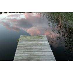 АЛЕКСЕЙ АЕДОНИЦКИЙ - ВАМ!