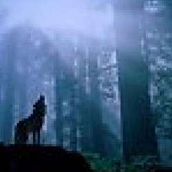 Александр Альтергот-Маленькая ложь