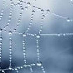 Александр Альтергот-Паутинка счастья