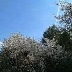 Алина Юдаева и Константин Маркелов-Песня о Родине или Мохаммед Салах