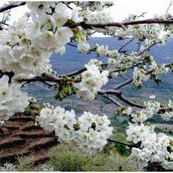 Анатолий  Палейчук-Дорога