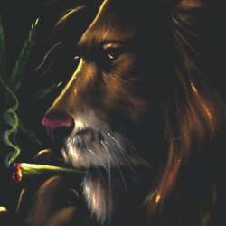 Аспарай - Снег