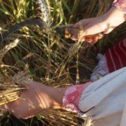 Берегиня-Жатва