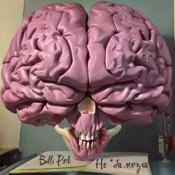 Billi Pok - Не *би мозги