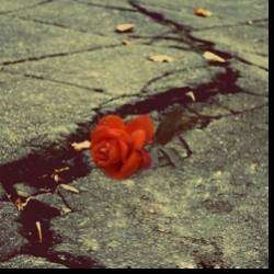 BreathOfMyHeart-мечты