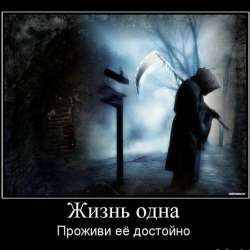 Экспонаты КунсткамерЫ-Рыба бензопила