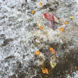 Эндорфин Orchestra- Январская feat Jeny Ja