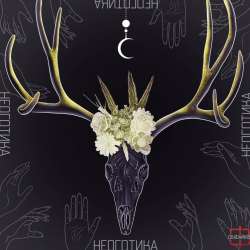 Фуфайкos и Компания-Неоготика-9