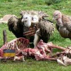 Геннадий Новиков и группа Behind the Wall-Души городов