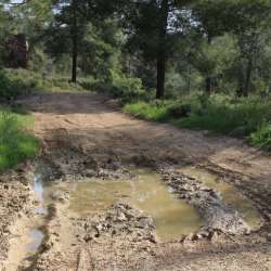 Гильгулим-Тень