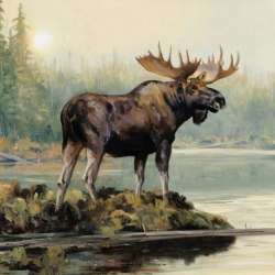 Холодный пуск-Лось