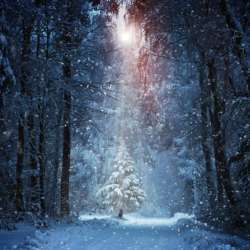 ИНТЕРСЕКТ  VVS-Белый снег