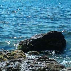 Иван Макаров  - Встреча у моря