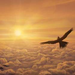 ИзВестЬ - Полетим