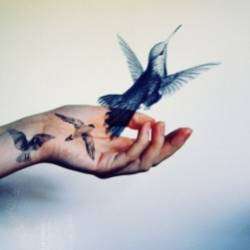 Константин Бурлаков-Странная птица