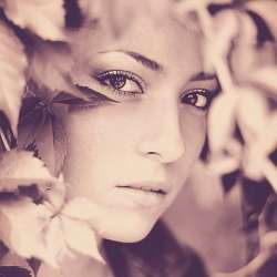 Корица Project-Остината