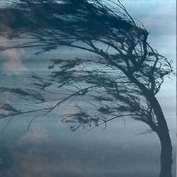 Козлов Александр Дурень-шел Пел