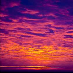 Meskalitos - Медляк