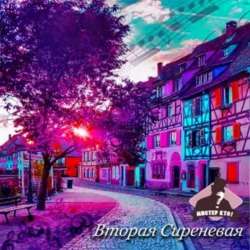 Мистер Кто! - Исход