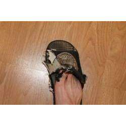 Н.Лапшин - Мораторий