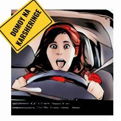 Ник Спирин-Домой на Каршеринге