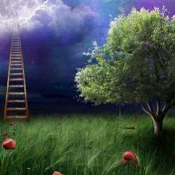 Nika Dim  Nik Ершов-ВЕЧНОСТЬ