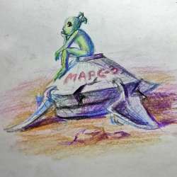 Non-Human Animal-On The Road