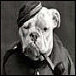 Обратная сторона - Мозжечок