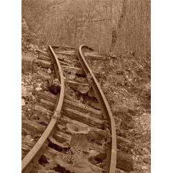 Олег Швыдкий - По дороге в никуда