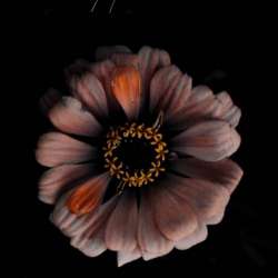 Ольга Парфёнова-Карие глаза