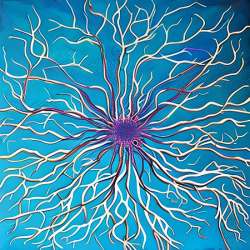 Ошибка восприятия - Когнитивный диссонанс