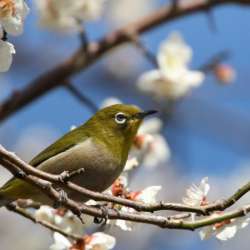 Песни от Никиты - Я помню весеннее утро