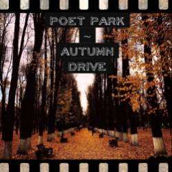 Poet Park-Leaf-fall