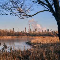 Проспект Ананаса-Ни о чём