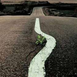 Рота Вихра-Дороги-Паденья-Победы