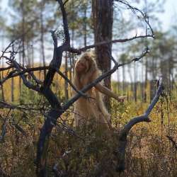 Русалина Селентай - песня Кикиморы