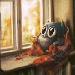 Сергей А Никитин — Девушки и старые романы