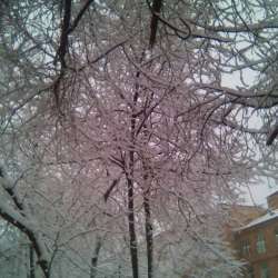 Сергей Мошков-Берёза Стихи С А Есенина