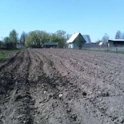 Сергей Мошков-Братец Чернотроп