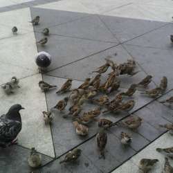 Сергей Мошков-Дохлёбываем август