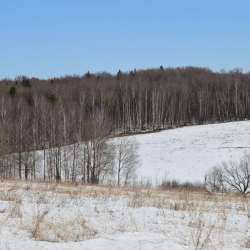 Сергей Мошков-Эх гитара моя