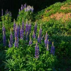 Сергей Мошков-Как на Зорьке-Зими