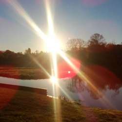 Сергей Мошков-Листопадное солнце